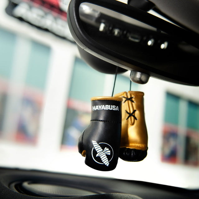 Hayabusa Boxing gloves Mini – Black/Gold