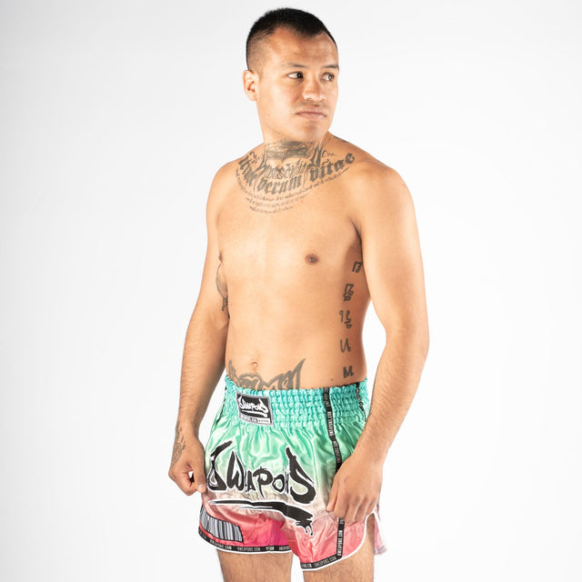 8 WEAPONS Muay Thai Shorts Vivo Mesosphere – Mesosphere