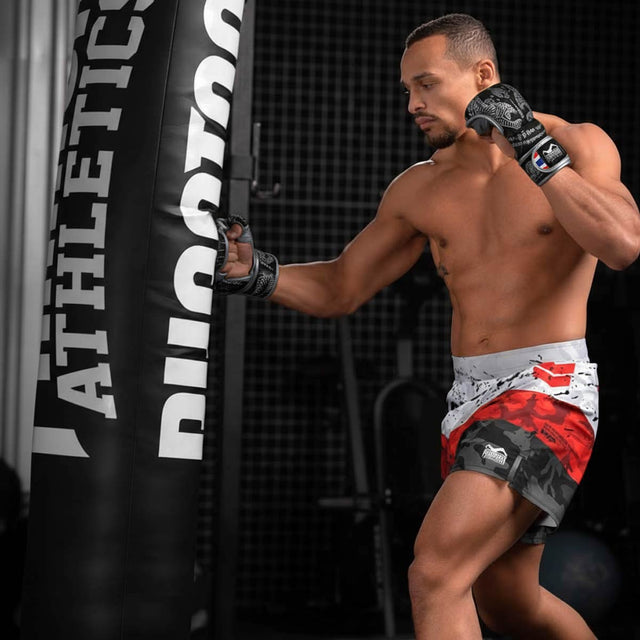 Phantom Athletics MMA Handschoenen Sparring Muay Thai - Zwart/Zilver