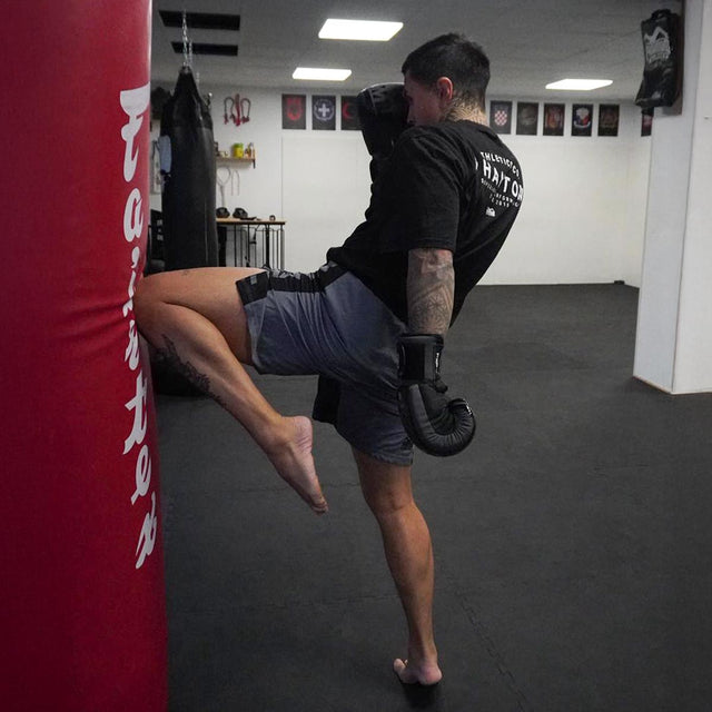 Phantom Athletics MMA Shorts EVO Apex – Grey