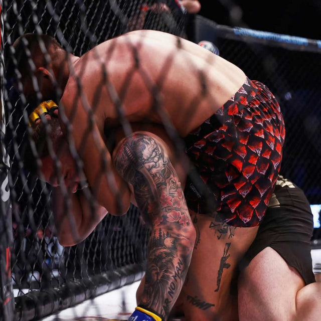 Phantom Athletics MMA Shorts Fusion Red Dragon – Red