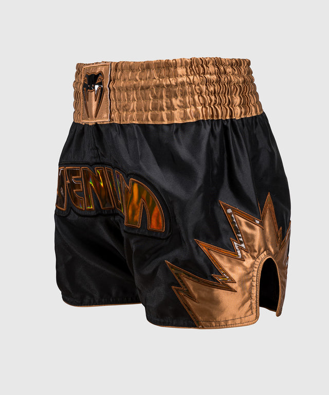 Venum Kickboxing Shorts Inferno - Black/Bronze