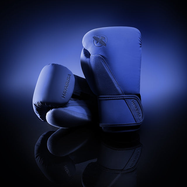 Hayabusa T360 Boxing Gloves - Blue