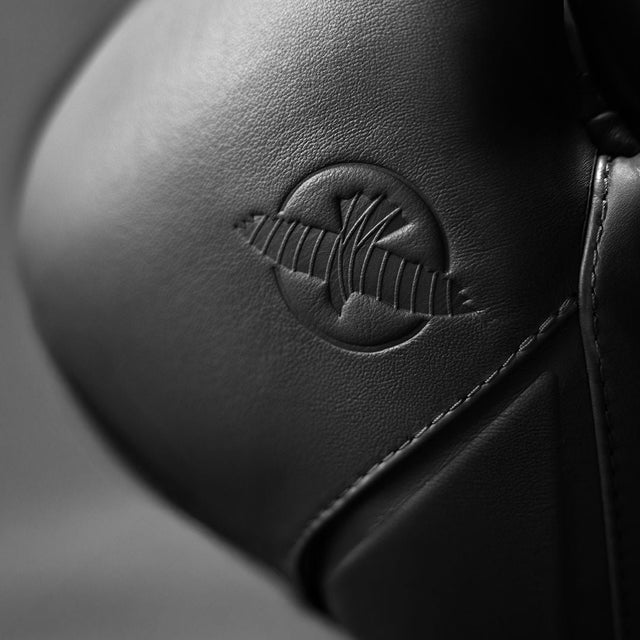 Hayabusa Boxing gloves E1 – Black