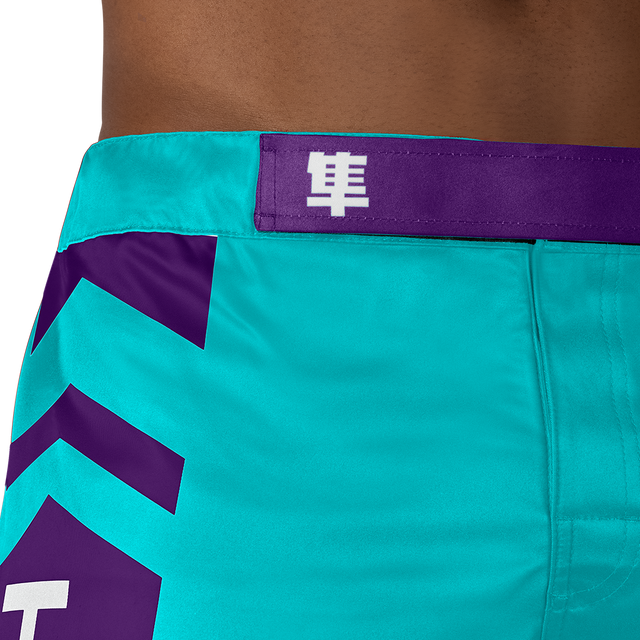 Hayabusa MMA Shorts Icon Long - Ocean Green