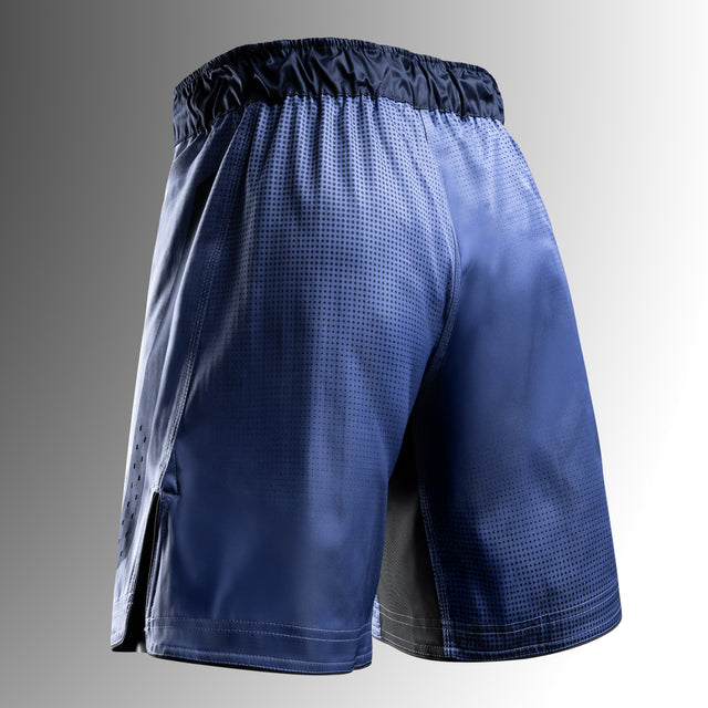 Hayabusa MMA Shorts Core Long - Blue