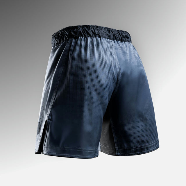 Hayabusa MMA Shorts Apex Core – Blue