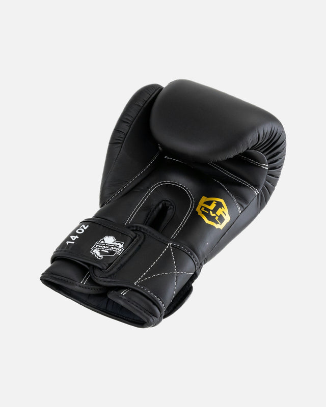 LVL UP Boxing gloves BG – Black