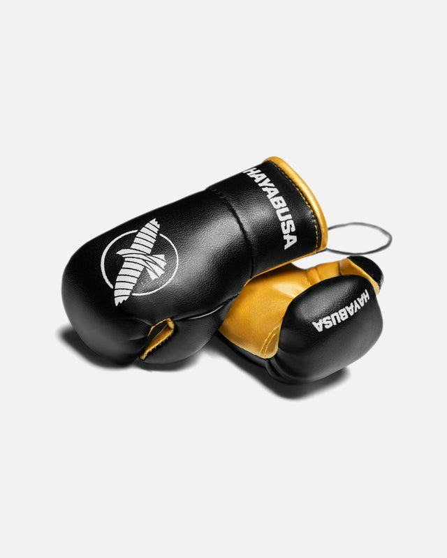 Hayabusa Boxing gloves Mini – Black/Gold