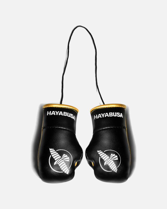 Hayabusa Boxing gloves Mini – Black/Gold