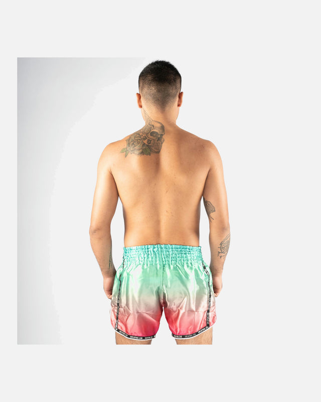 8 WEAPONS Muay Thai Shorts Vivo Mesosphere – Mesosphere