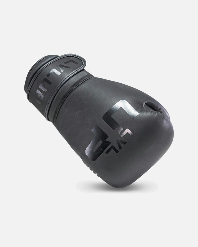 LVL UP Boxing gloves BG – Black