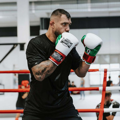 Mănuși de box Phantom Athletics Mexico – Alb/Verde/Roșu