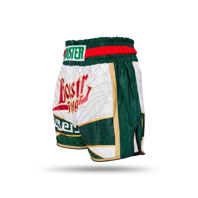Booster Kickboxing Shorts TBT - Algeria