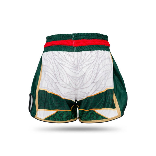 Booster Kickboxing Shorts TBT - Algeria
