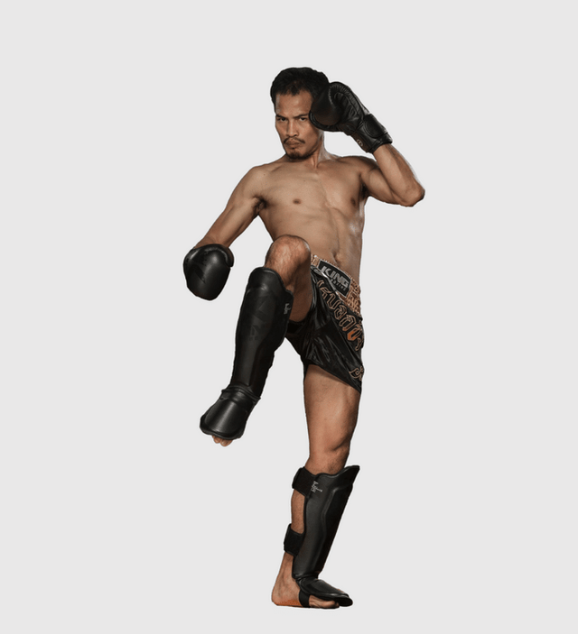 King Shin guards – Black – Shin guards