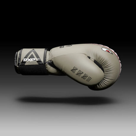 Phantom Boxing gloves Fight Squad - Sand - Boxing gloves