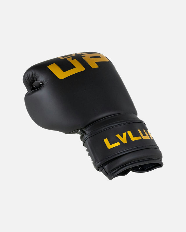 LVL UP Boxing gloves BG – Black